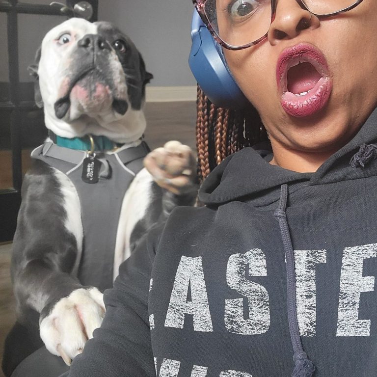 Two small dogs playfully interacting in a cozy indoor setting.